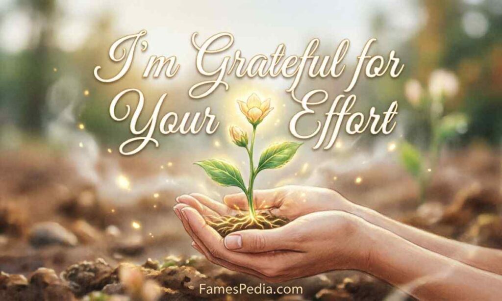 I'm Grateful for Your Effort